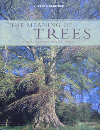 The meaning of trees